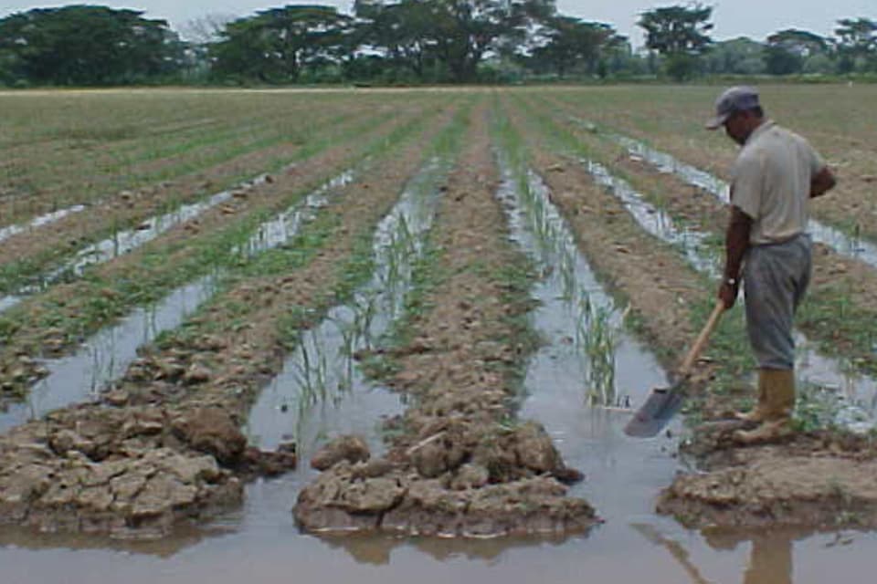 Nivelación para Riego
